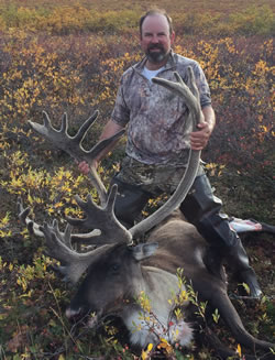 Alaska caribou